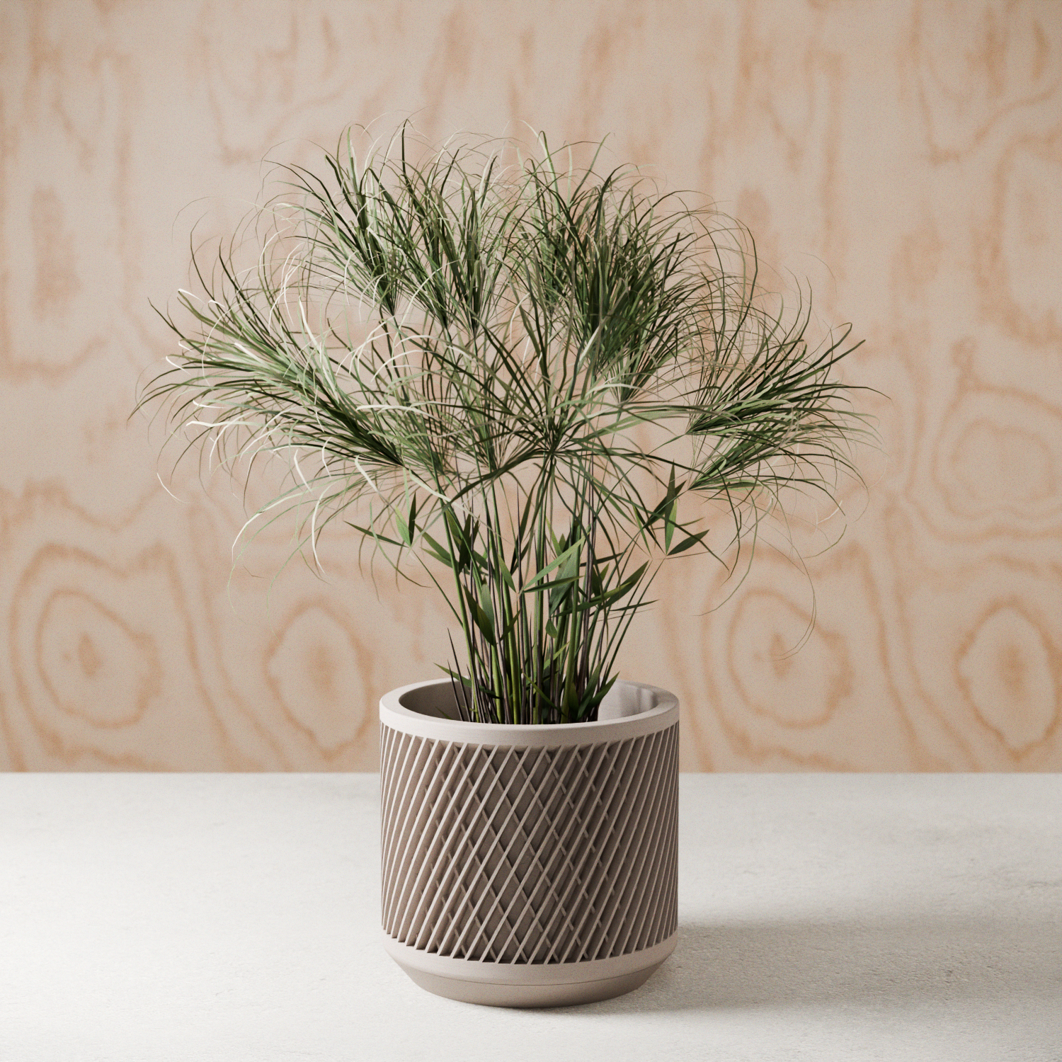 Weave Planter