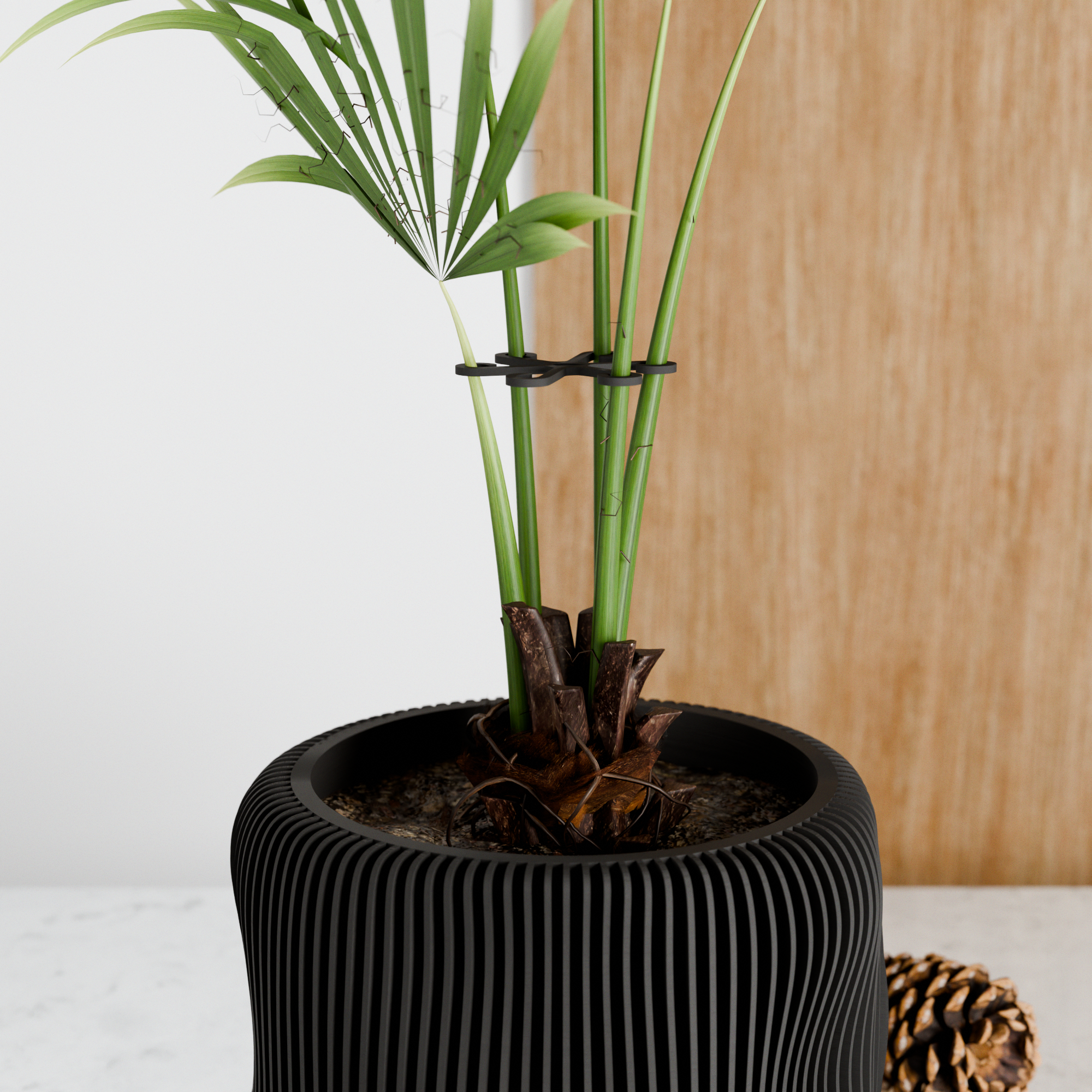Climbing Plant Stem Support Stakes