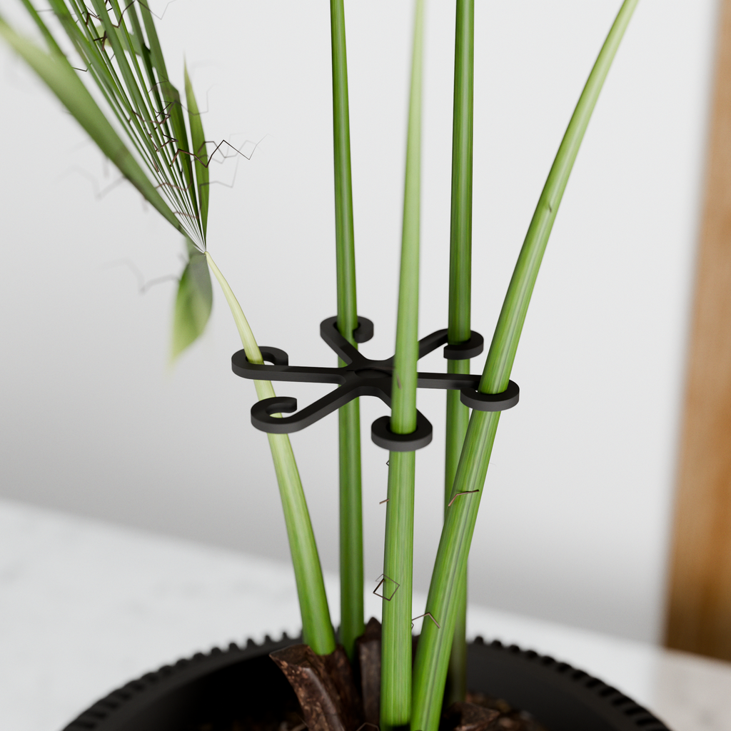 Climbing Plant Stem Support Stakes