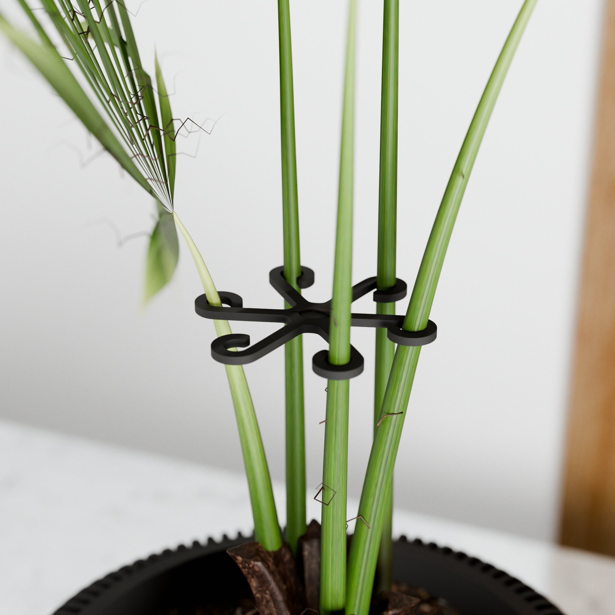 Climbing Plant Stem Support Stakes